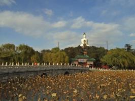 Beihai Park 